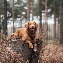 jamie-street-zwW7ZQO5-Lo-unsplash